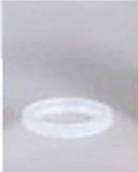 Tömítőgyűrű demo